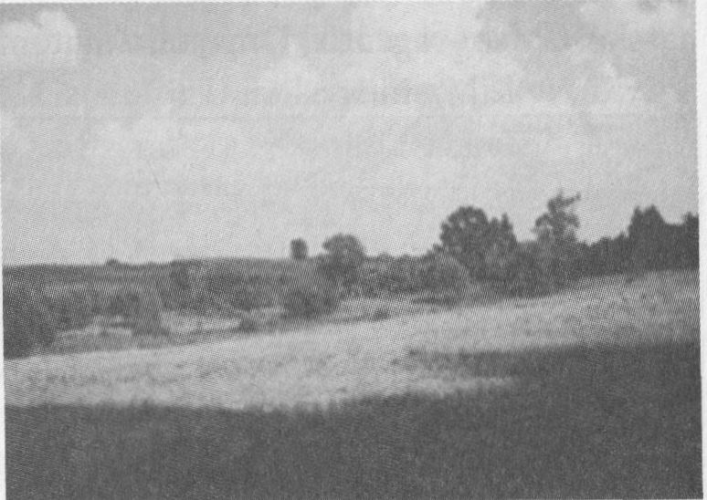 Punios Kunigaikščio Margio tėvūnijos vadas Jonas Beinaravičius-Vėjas ir jo žūties vieta